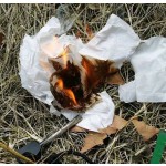 Křesadlo k založení ohně, outdoor